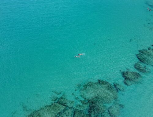 Snorkeling at Nāpili Bay