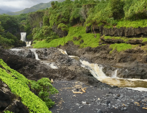Road to Hana – Best Stops Travel Guide (Essential Tips)