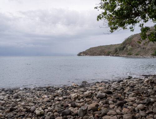 Snorkeling At Honolua Bay
