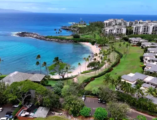 Snorkeling Kapalua Bay Only Minutes Away From Nāpili Bay